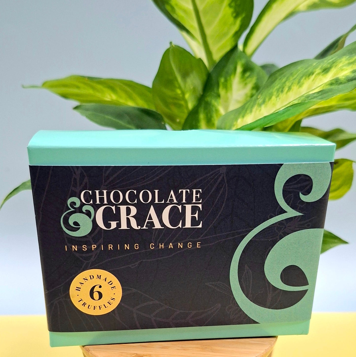 The Signature Selection - Box of Six Handmade Truffles